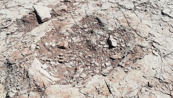 Pegadas de dinossauro bípede encontradas na Patagônia (imagem referencial) - Sputnik Brasil