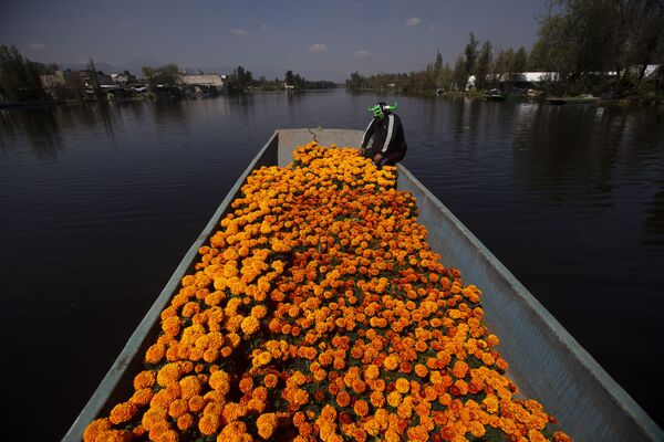 Barco cheio de flores de cravo-da-índia no México
 - Sputnik Brasil