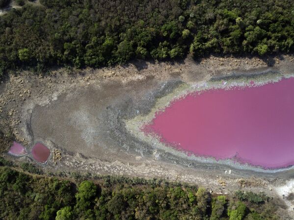 Água púrpura na lagoa Cerro no Paraguai devido a resíduos despejados pela companhia de curtumes Limpio
 - Sputnik Brasil