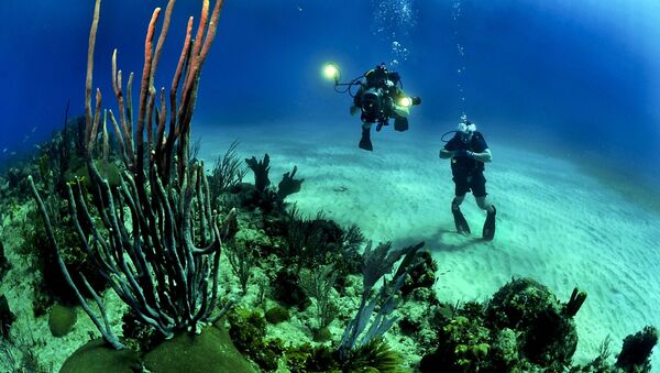 Mergulhadores explorando recife de coral (imagem referencial) - Sputnik Brasil