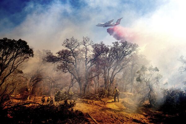 Aeronave realiza trabalho de combate a incêndio em Anderson, no estado americano da Califórnia - Sputnik Brasil