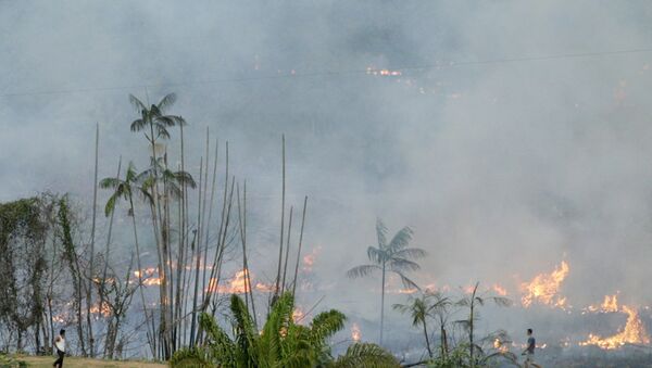 Floresta amazônica pega fogo na cidade de Açailândia, no Maranhão. - Sputnik Brasil