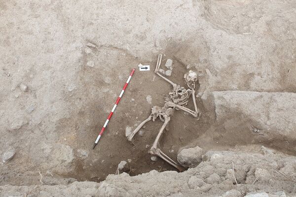 Esqueleto do século XIV encontrado no castelo de Guardamar, Espanha - Sputnik Brasil