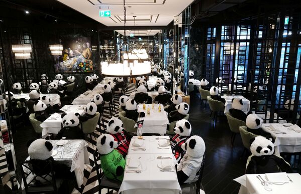Pandas sentados à mesa em restaurante de Frankfurt para atrair atenção ao impacto das medidas de confinamento no setor da gastronomia - Sputnik Brasil
