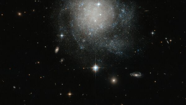 A galáxia espiral UGC 12588 na constelação de Andrómeda - Sputnik Brasil