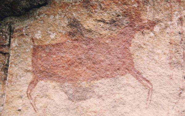 Pintura rupestre no Parque Nacional Chiribiquete, Colômbia - Sputnik Brasil