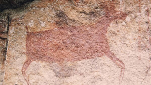 Pintura rupestre no Parque Nacional Chiribiquete, Colômbia - Sputnik Brasil