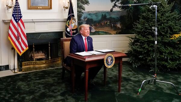 Presidente dos EUA, Donald Trump, durante evento realizado por videoconferência na Casa Branca, Washington, EUA, 26 de novembro de 2020  - Sputnik Brasil