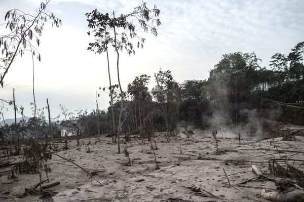 Vista geral mostra a destruição causada pelo rio de lava em Lumajang, província da ilha de Java, Indonésia, em 2 de dezembro 2020, após erupção do vulcão Monte Semeru - Sputnik Brasil