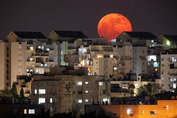 Lua cheia atrás de edifícios em Ashkelon, no sul de Israel
 - Sputnik Brasil