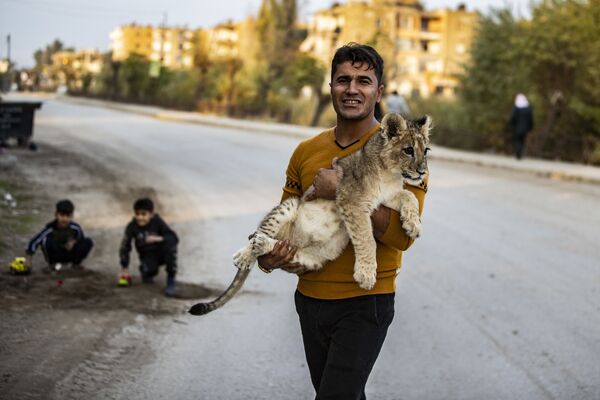 Curdo sírio com seu pequeno leãozinho de estimação
 - Sputnik Brasil