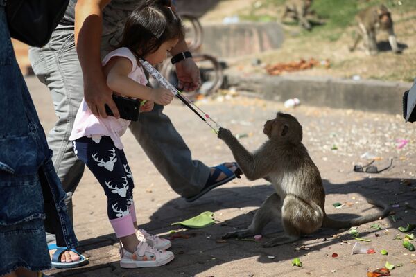Macaco pega máscara de uma criança na frente do templo Prang Sam Yod durante o festival anual Monkey Buffet na Tailândia
 - Sputnik Brasil