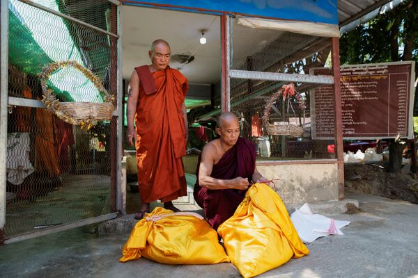 O monge budista no mosteiro que se tornou o santuário de cobras se prepara para soltar os pítons birmaneses em uma floresta nos arredores de Yangon, Mianmar - Sputnik Brasil