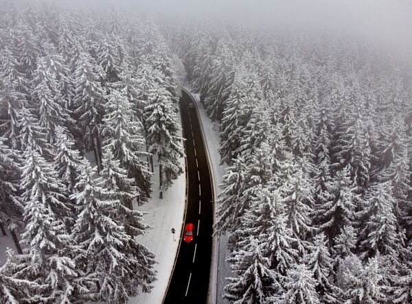 Carro passa entre árvores cobertas de neve na região de Taunus, perto de Frankfurt, Alemanha
 - Sputnik Brasil