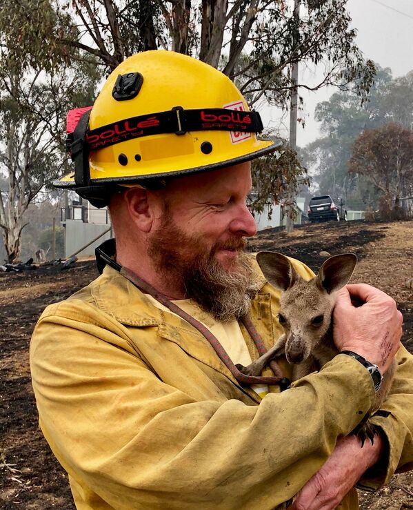 Filhote de canguru é resgatado em 5 de janeiro enquanto fortes incêndios florestais atingiam a Austrália - Sputnik Brasil