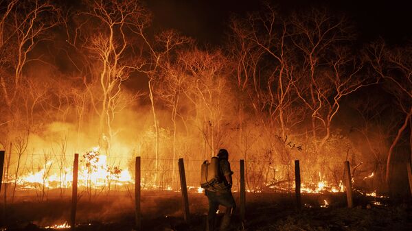 Funcionários monitoram um acero na tentativa de controlar um foco de incêndio na fazenda Santa Tereza, na região da Serra do Amolar, no Pantanal do Mato Grosso do Sul. Cerca de 60% da fazenda foi consumida pelo fogo, outubro de 2020 - Sputnik Brasil
