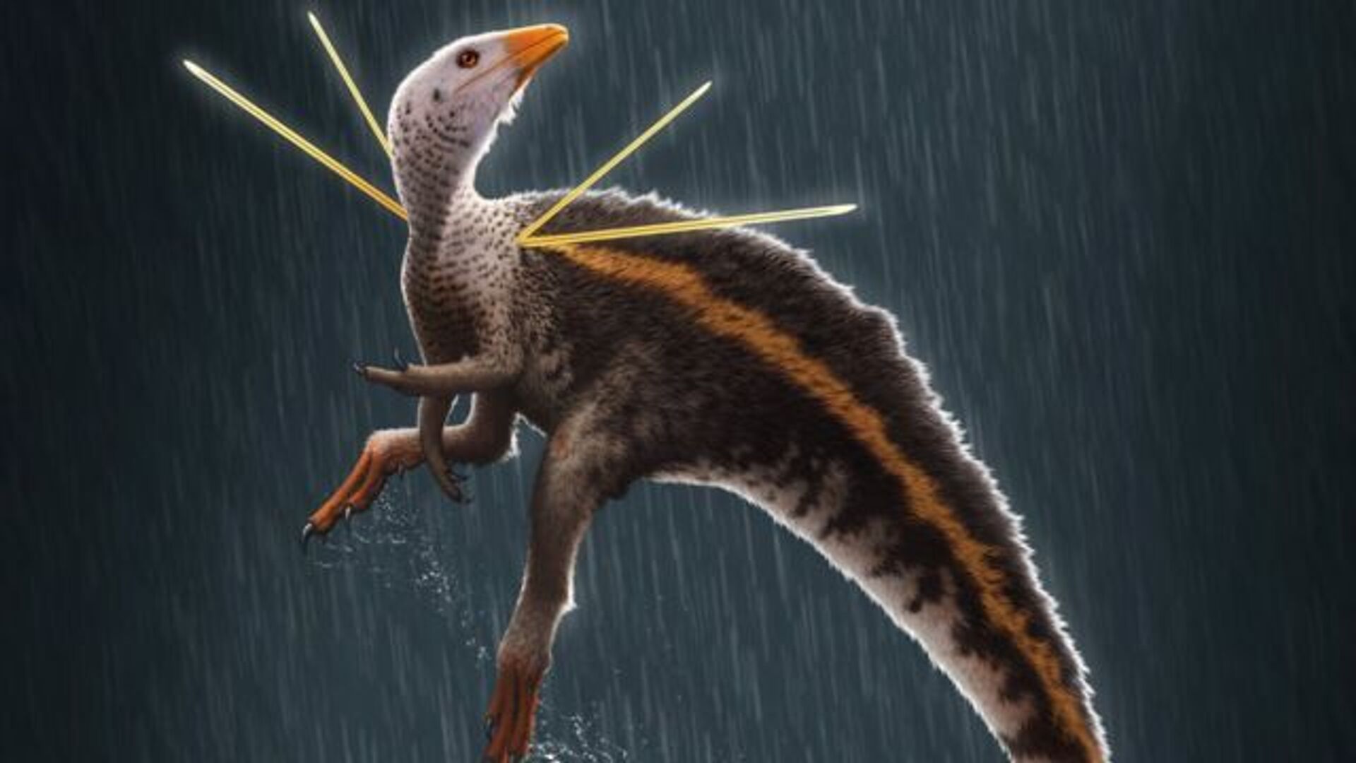 Nova espécie de dinossauro encontrada no Brasil, Ubirajara jubatus - Sputnik Brasil, 1920, 21.03.2022