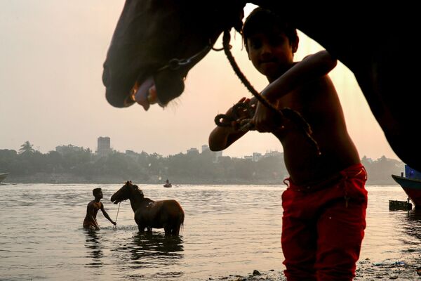Homem banha um cavalo no rio Buriganga em Daca, Bangladesh, 15 de dezembro de 2020 - Sputnik Brasil