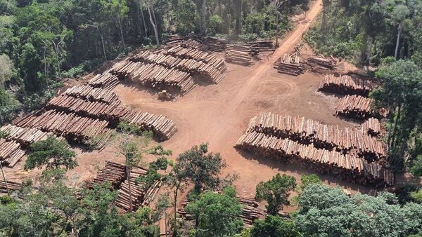 Em 2020,, outra grande operação da PF foi mirando apreensão de madeira ilegal foi realizada e ficou conhecida como a maior apreensão de madeira da história do Brasil, divisa do Pará com Amazonas, 21 de dezembro de 2020 - Sputnik Brasil