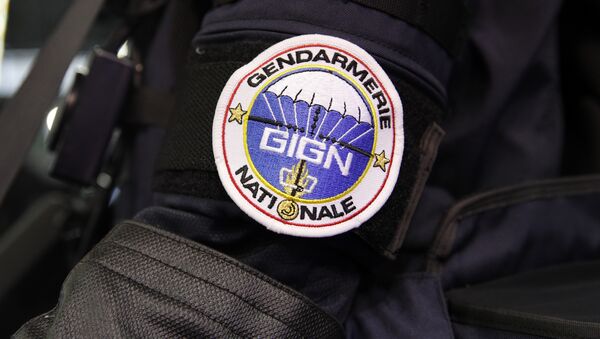 Crachá do Grupo de Intervenção da Gendarmaria Nacional, uma força policial francesa de elite - Sputnik Brasil