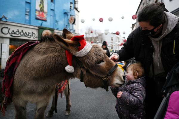 Menina de dois anos com um burro em rua comercial de Galway, Irlanda, 22 de dezembro de 2020 - Sputnik Brasil