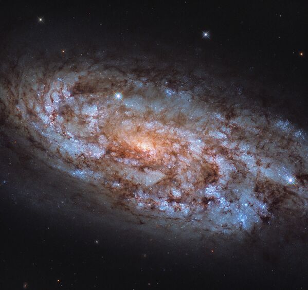 Galáxia NGC 1792 na constelação de Columba - Sputnik Brasil