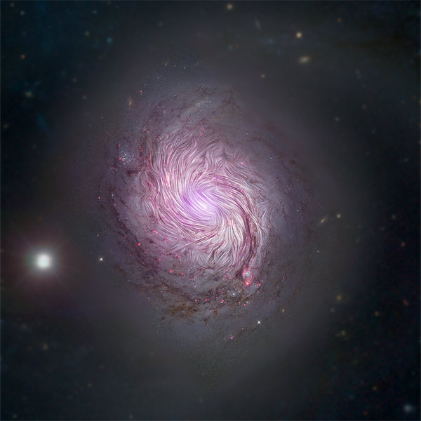 Campos magnéticos da galáxia espiral NGC 1068 (M77) na constelação de Cetus - Sputnik Brasil