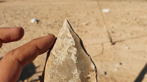 Uma das ferramentas de pedra distintas, feita com uma tecnologia de quebra de sílex antiga conhecida como Nubian Levallois. - Sputnik Brasil