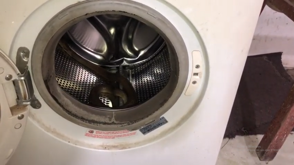 Cobra dentro de máquina de lavar - Sputnik Brasil