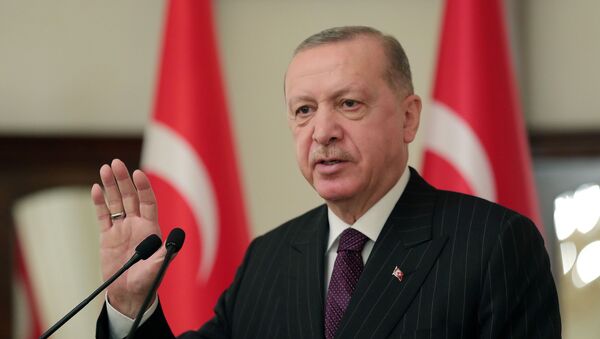 Recep Tayyip Erdogan, presidente da Turquia, discursa durante reunião com embaixadores da União Europeia em Ancara, Turquia, 12 de janeiro de 2021 - Sputnik Brasil