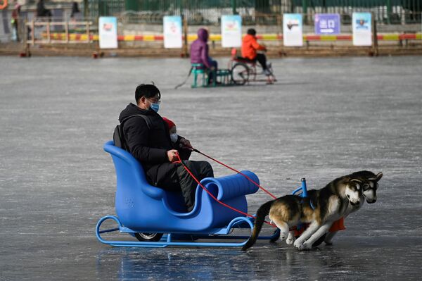 Homem e criança usam trenó em lago congelado em Pequim, China, 12 de janeiro de 2021 - Sputnik Brasil