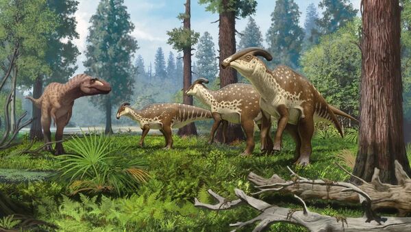 Reconstrução de um grupo de Parasaurolophus cyrtocristatus, ou parassaurolofos, confrontados há 75 milhões de anos por um tiranossauro nas florestas subtropicais do Novo México, EUA - Sputnik Brasil