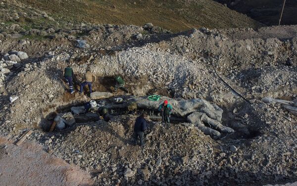 Trabalhadores em torno de árvore fossilizada no Parque Nacional da Floresta Petrificada na ilha de Lesbos, Grécia - Sputnik Brasil