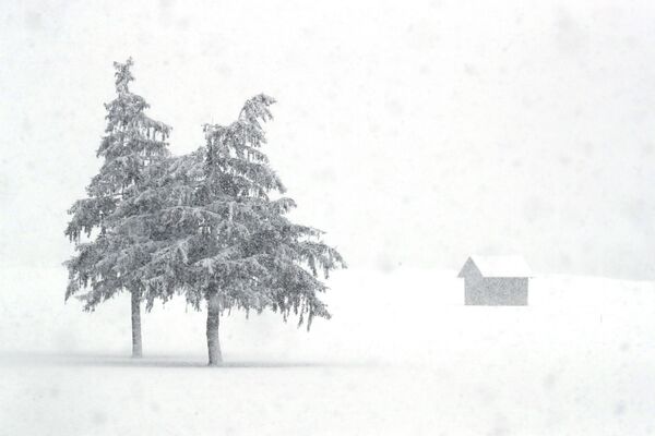 Neve cobre a paisagem na província italiana de língua alemã de Tirol do Sul, Itália, 23 de janeiro de 2021 - Sputnik Brasil