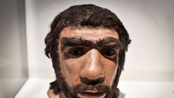 Moldagem da face de neandertal exibida durante exposição em Paris, França, 26 de março de 2018 - Sputnik Brasil