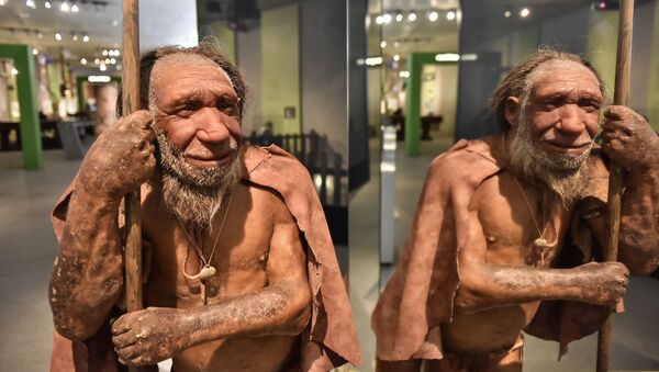 Neanderthal - Sputnik Brasil