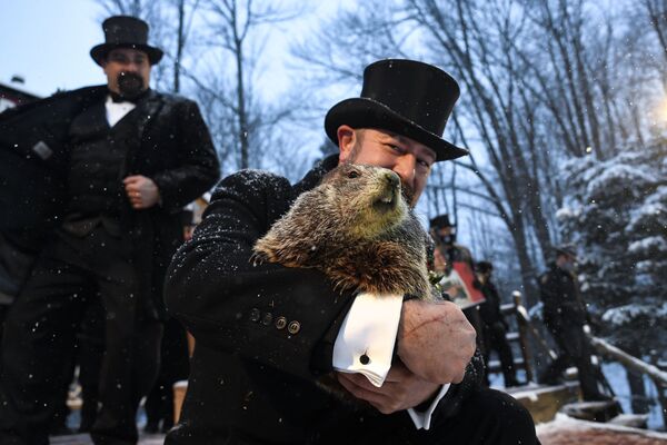 A.J. Dereume pega a marmota Phil no dia da Marmota, em 2 de fevereiro de 2021 - Sputnik Brasil