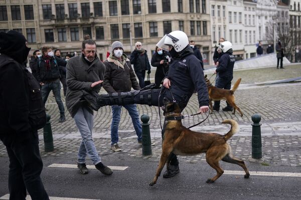 Policial pontapeia manifestante durante protesto não autorizado contra as restrições pandêmicas em Bruxelas, Bélgica, 31 de janeiro de 2021 - Sputnik Brasil