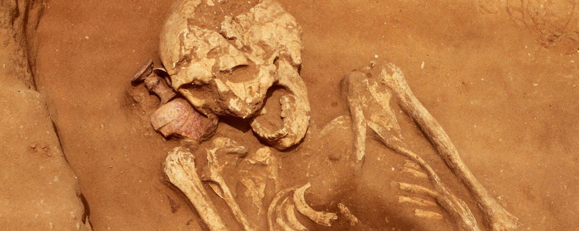 Esqueleto encontrado em escavações em cemitério de Ascalão - Sputnik Brasil, 1920, 01.11.2021
