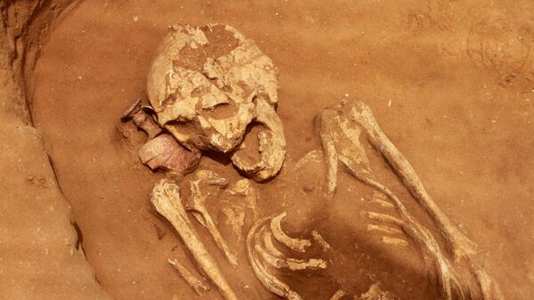 Esqueleto encontrado em escavações em cemitério de Ascalão - Sputnik Brasil