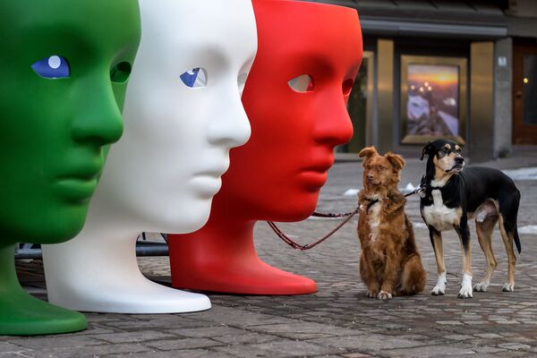 Dois cachorros aguardam seu dono perto de assentos de plástico representando rostos em cores de bandeira italiana, Itália, 9 de fevereiro de 2021 - Sputnik Brasil