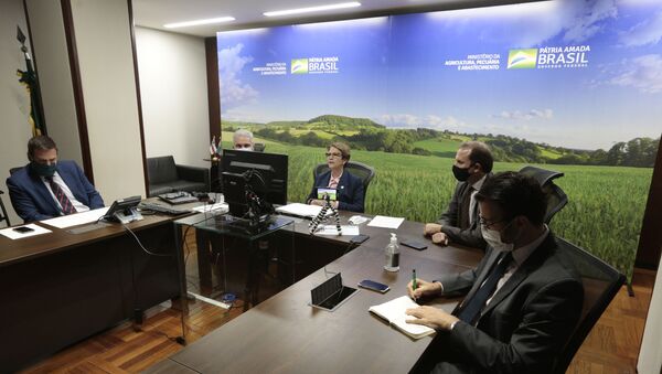 A ministra da Agricultura, Pecuária e Abastecimento (MAPA), Tereza Cristina, durante assinatura do Memorando de Entendimento de criação do Comitê Conjunto de Agricultura (CCA) Brasil-Reino Unido - Sputnik Brasil