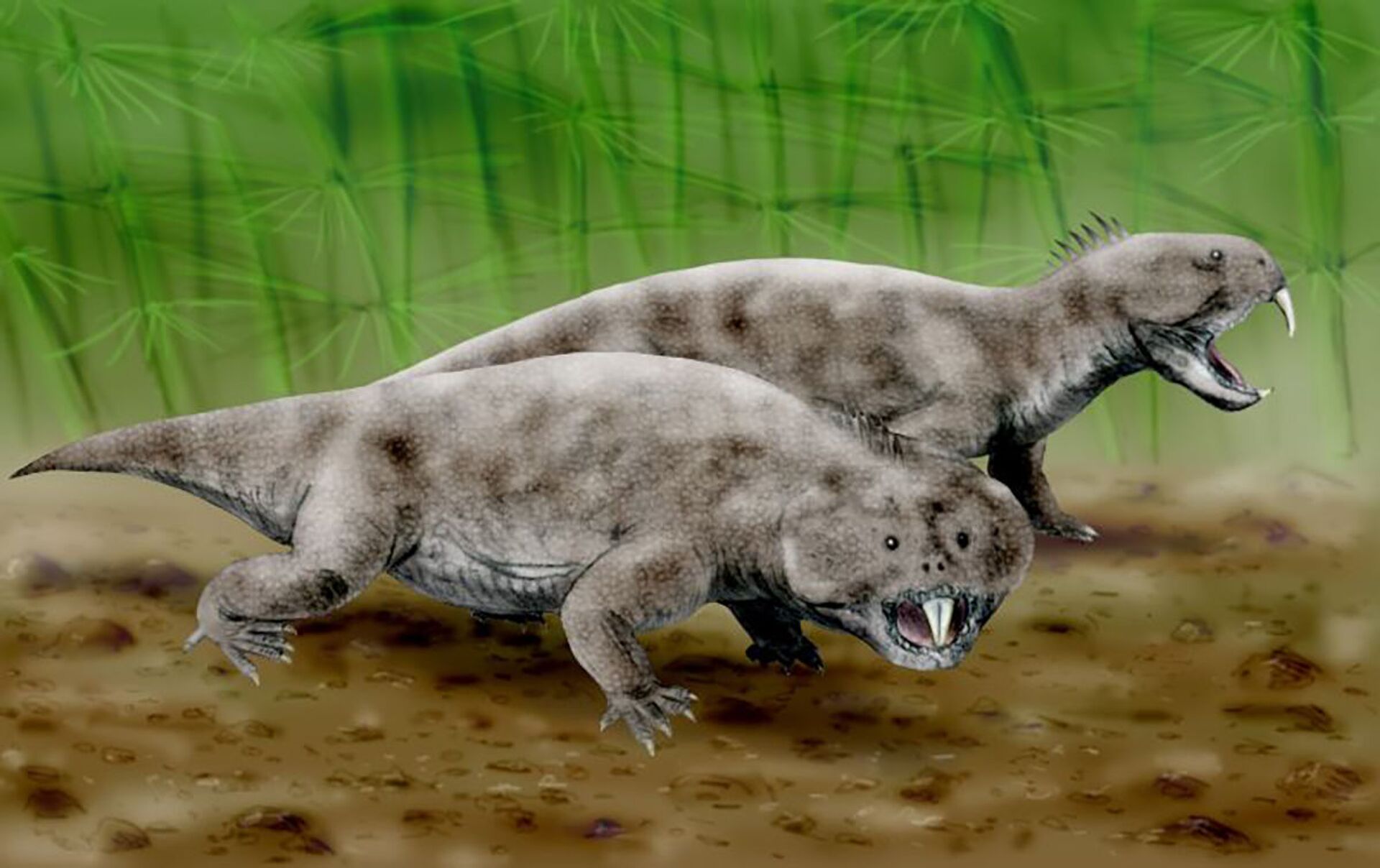 Vizinho de dinossauros: nova espécie extinta descoberta na Argentina - Sputnik Brasil, 1920, 16.02.2021