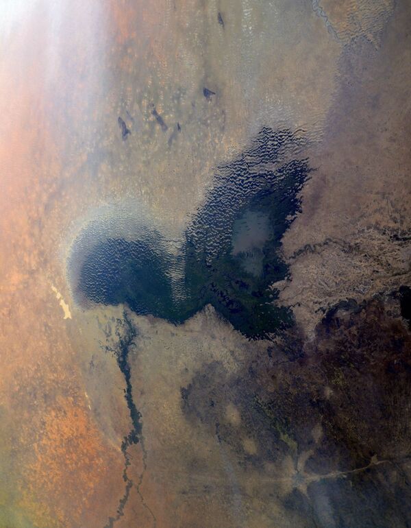 Lago Chade no continente africano, visto a partir da EEI por cosmonauta russo - Sputnik Brasil