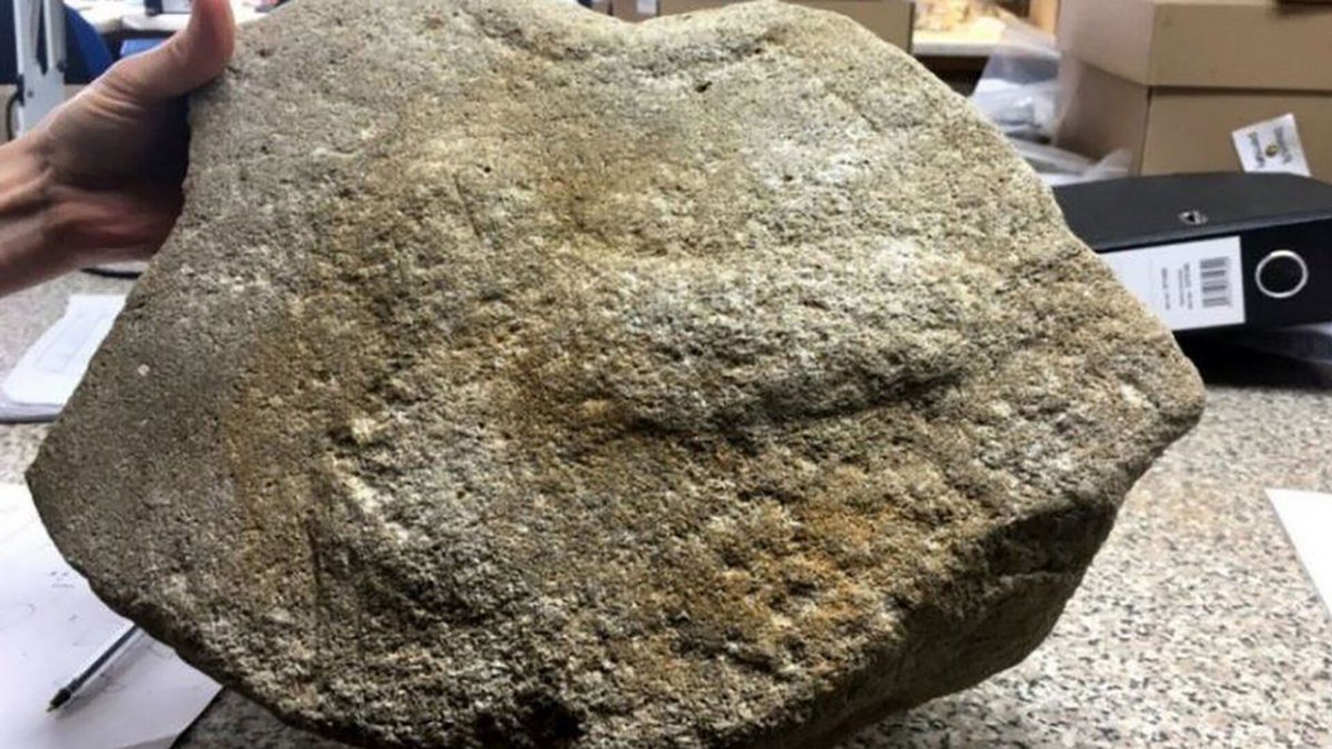 Antiga relíquia romana com órgão genital de 2 mil anos é encontrada no Reino Unido (FOTO) - Sputnik Brasil, 1920, 19.02.2021