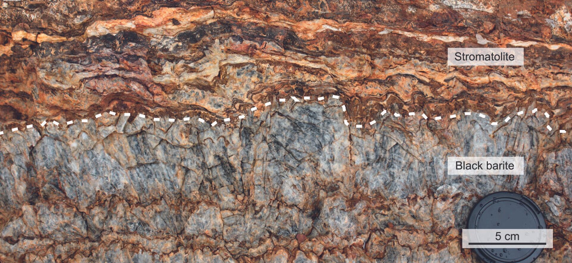 'Ingrediente para vida' é descoberto em rochas de 3,5 bilhões de anos na Austrália (FOTO) - Sputnik Brasil, 1920, 22.02.2021
