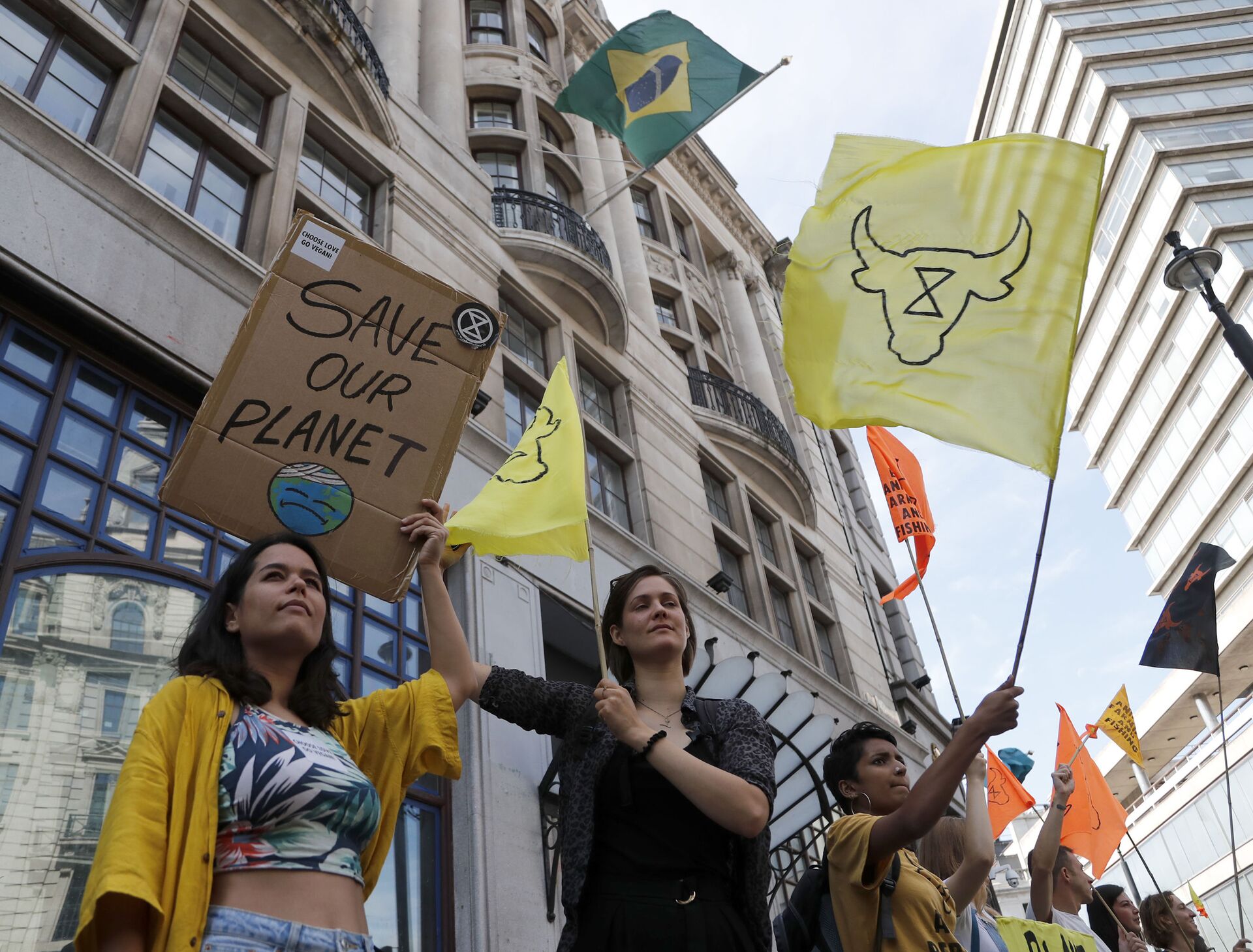 Brasil deve se preparar para sanções e embargos com justificativa ambiental, alerta especialista  - Sputnik Brasil, 1920, 23.02.2021