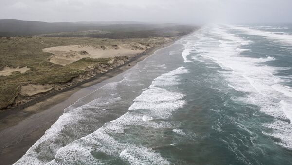 Praia de Muriwai, na costa oeste da região de Auckland, na Ilha do Norte da Nova Zelândia (arquivo) - Sputnik Brasil