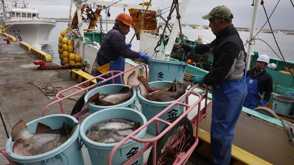 Рыбаки выгружают рыбу из лодки в центре обработки в Соме, префектура Фукусима, Япония, 2019 год - Sputnik Brasil