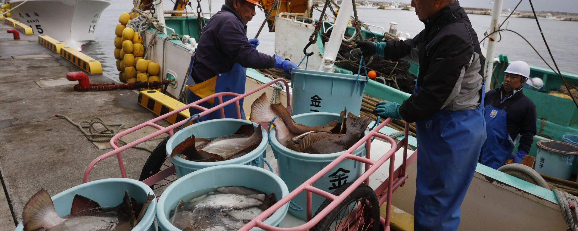 Pescadores descarregam peixes de barco em Fukushima - Sputnik Brasil, 1920, 24.08.2023